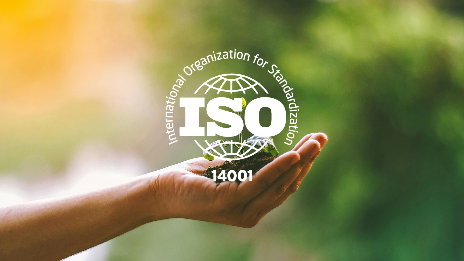 ISO 14001:2015 Internal Auditor Course 