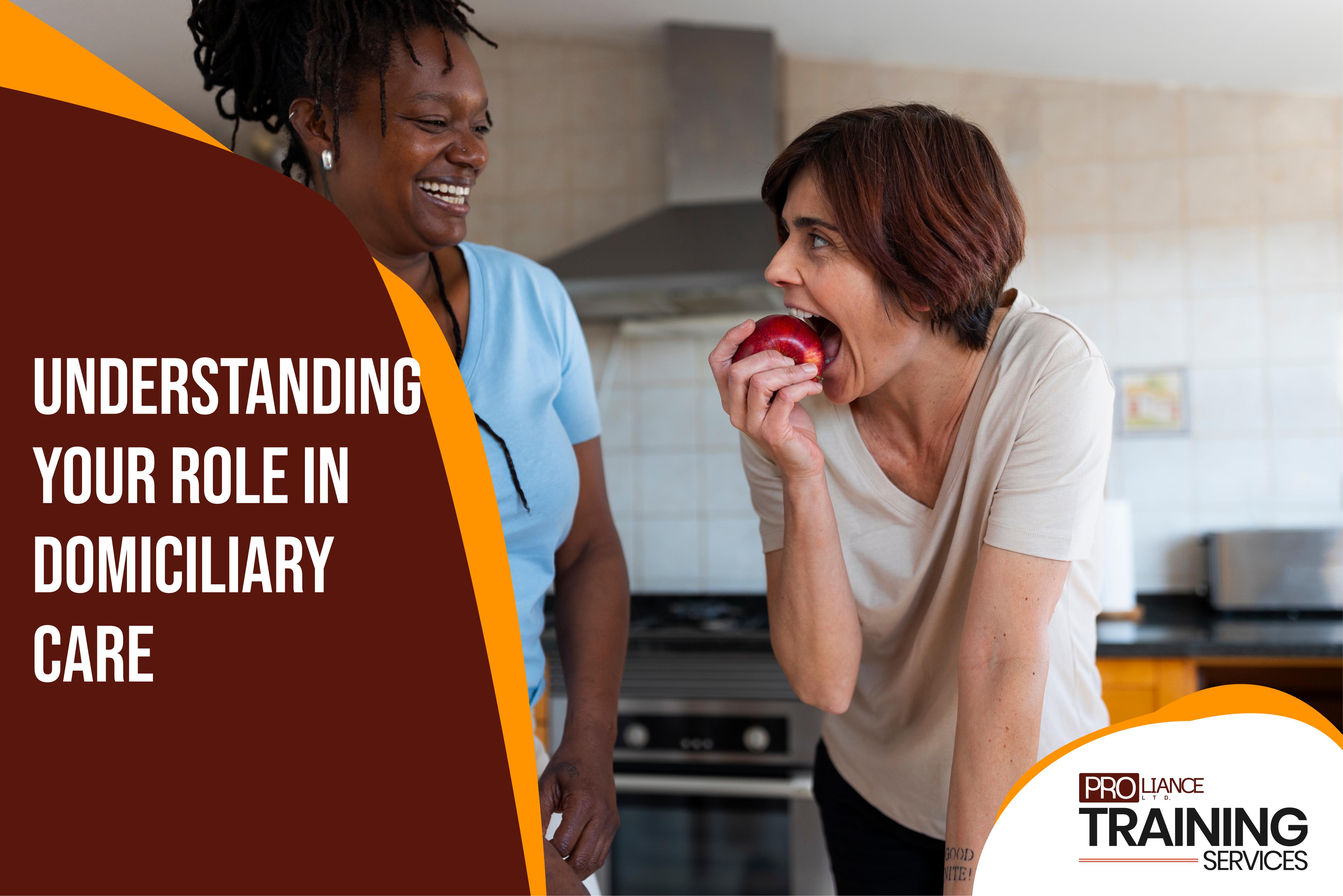 Understanding Your Role in Domiciliary Care 